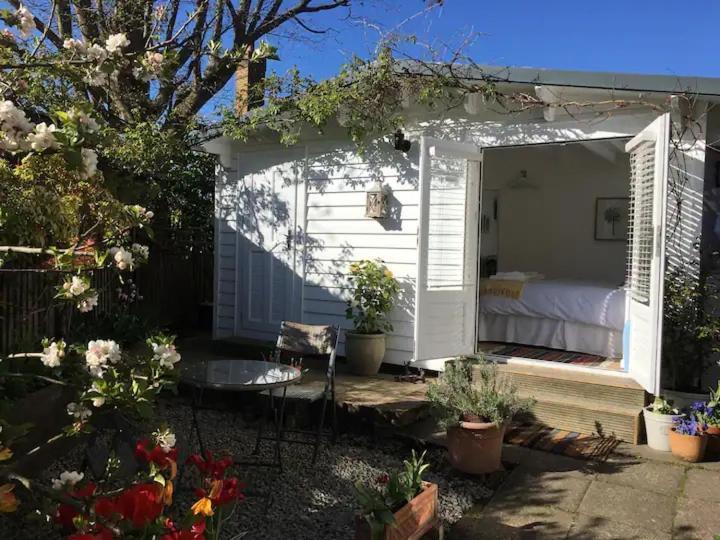 Garden Studio Cranbrook Exterior photo
